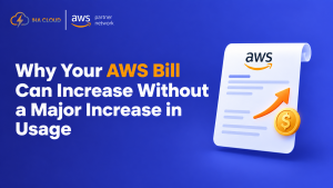 AWS cloud cost increase despite stable usage